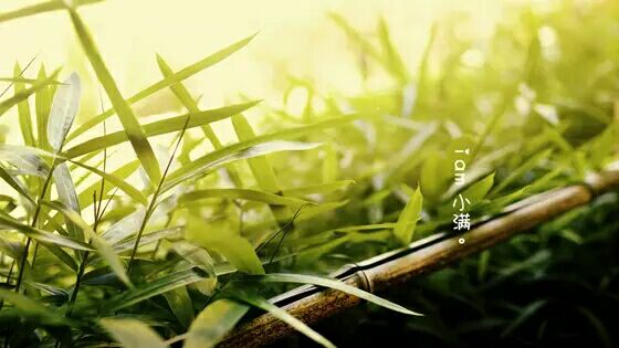 QQ鍥劇墖20170524095313.jpg QQ鍥劇墖20170524095313.jpg